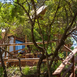 3* Vakantiepark Lacona Pineta